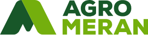 Primary Raster logo